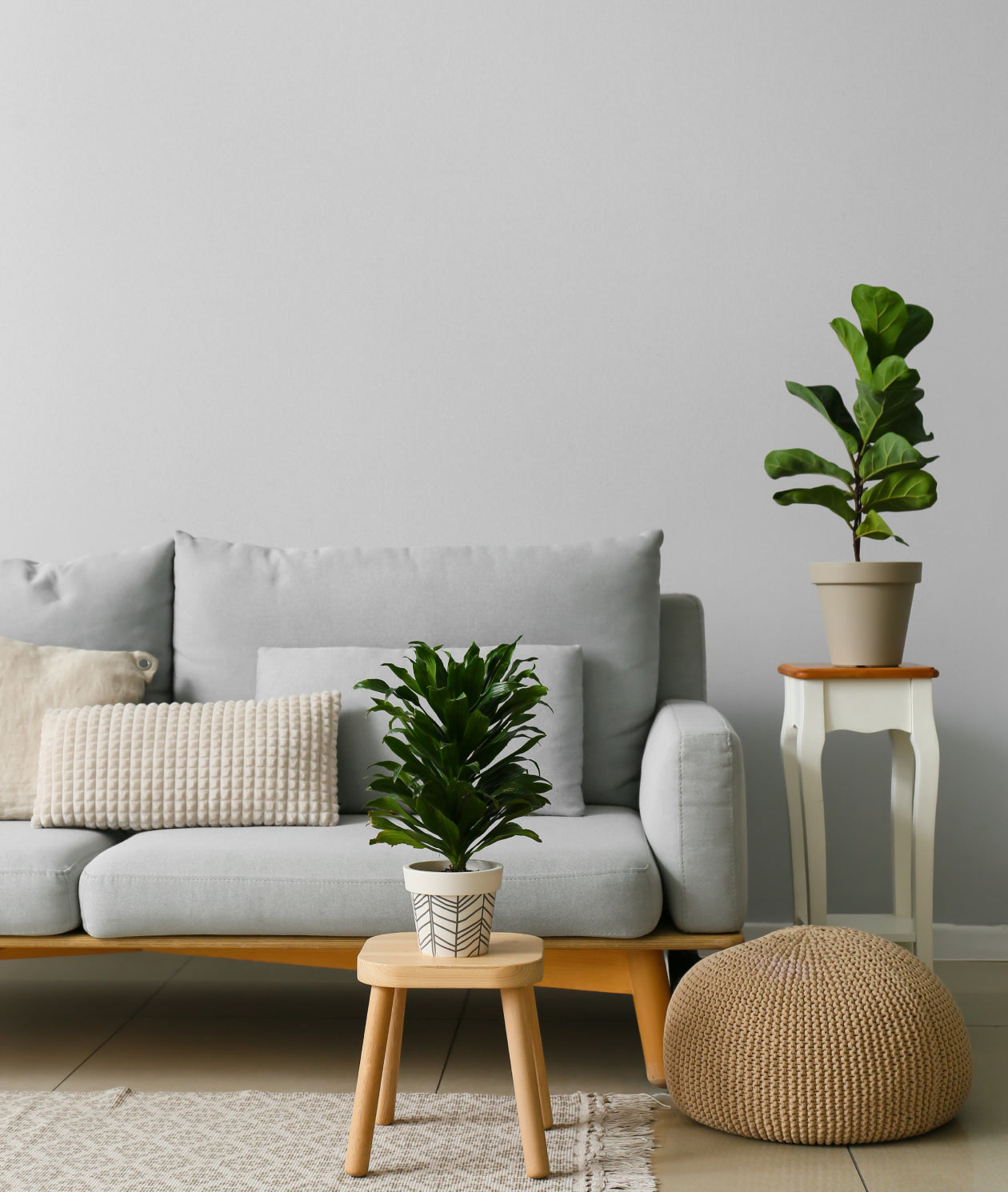 Home Decor & Accessories